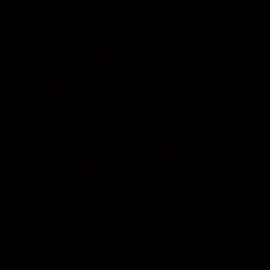 Meet your Posher, Irie